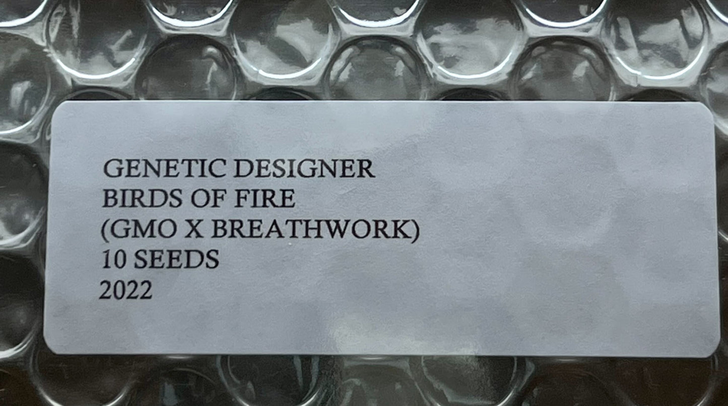 Birds of Fire