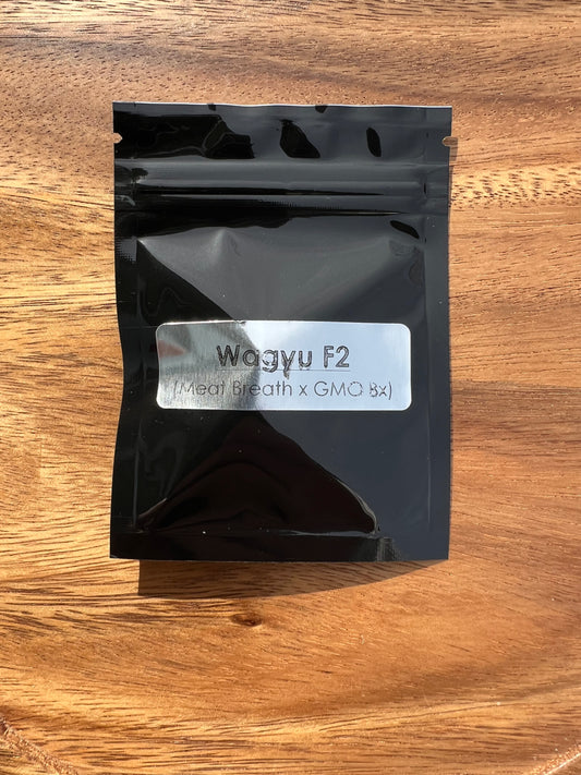 Wagyu F2